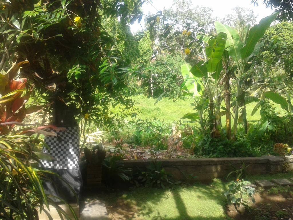 Indraprastha Ubud