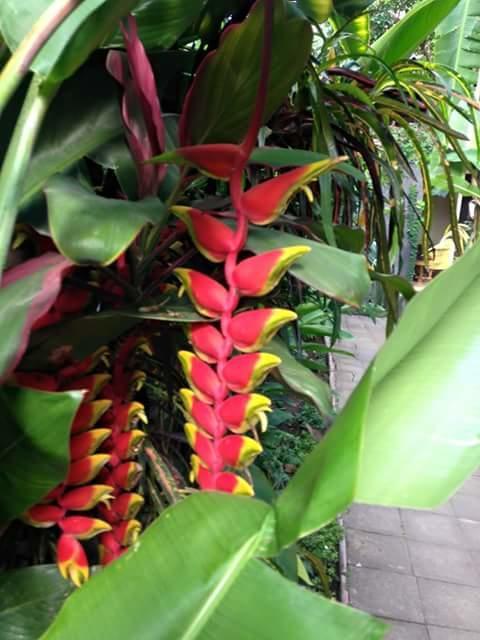 Indraprastha Ubud